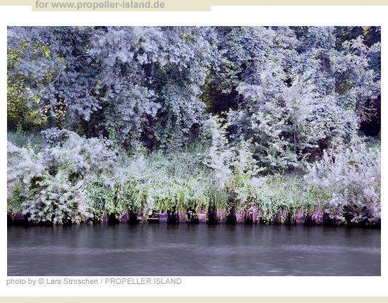 My Berlin Photos Berlin is GREEN bank slope