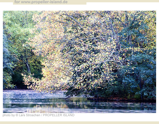 My Berlin Photos Berlin is GREEN neuer see tiergarten